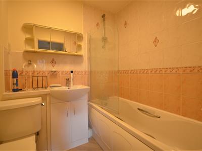 Picture 7